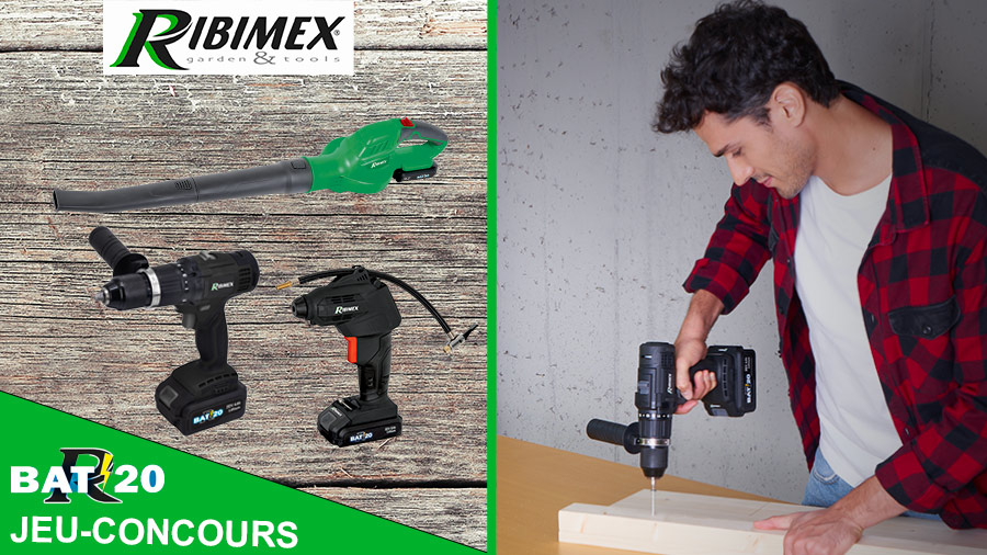 Outils électroportatifs batterie R-BAT20 Ribimex Outils électroportatifs batterie R-BAT20 Ribimex