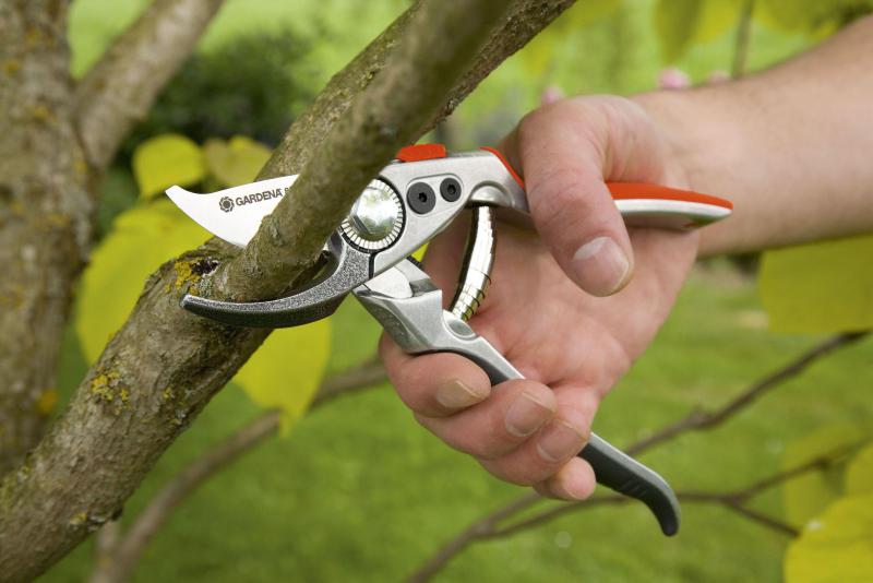 Sécateur gamme PREMIUM GARDENA Sécateur gamme PREMIUM GARDENA