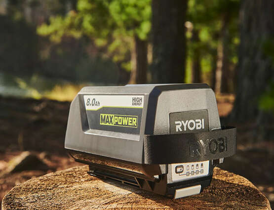 chargeur 36 V MAX POWER 2 ports RY36C2PA Ryobi