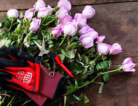 épinette Felco 320, 321 et 322