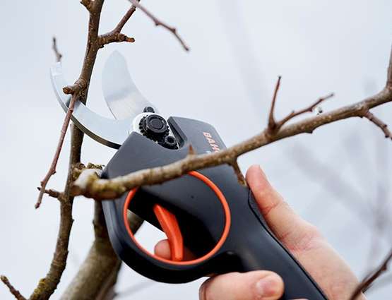 sécateur électrique 35 mm BCL23 Bahco sécateur électrique 35 mm BCL23 Bahco