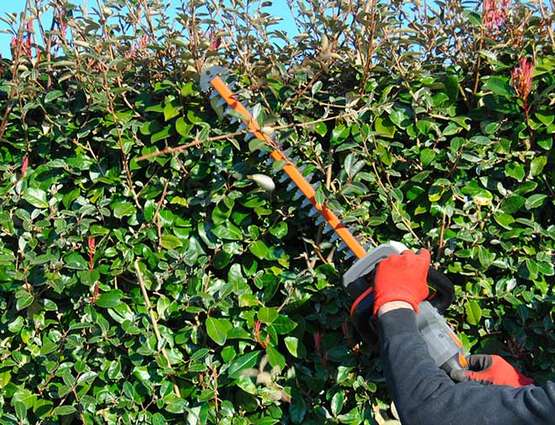 taille-haie sans-fil FX-E1HS20 et FX-E1HH20 FUXTEC taille-haie sans-fil FX-E1HS20 et FX-E1HH20 FUXTEC