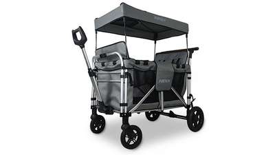 chariot Family Cruiser gris Family Fux FX-CTXL900.83 FUXTEC chariot Family Cruiser gris Family Fux FX-CTXL900.83 FUXTEC