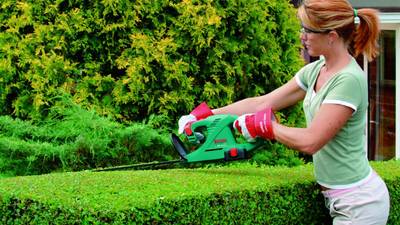 Taille-haies Bosch AHS 52 LI