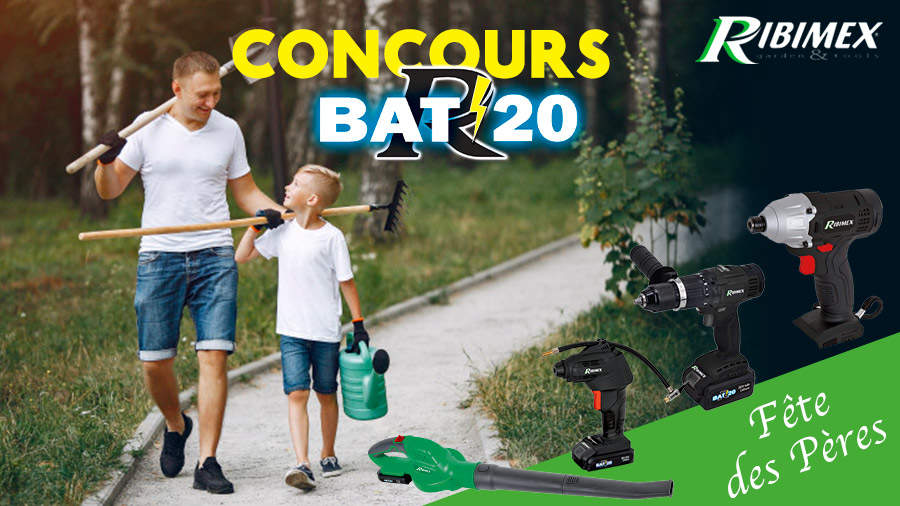 Outils électroportatifs RIBIMEX RBAT 20 Outils électroportatifs RIBIMEX RBAT 20