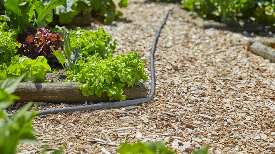 Nouvelle gamme de tuyaux d'arrosage résistants Liano GARDENA Nouvelle gamme de tuyaux d'arrosage résistants Liano GARDENA