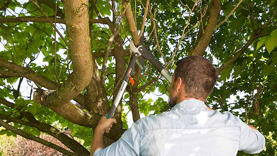 coupe-branches SmartCut Comfort 8773-20 gardena coupe-branches SmartCut Comfort 8773-20 gardena