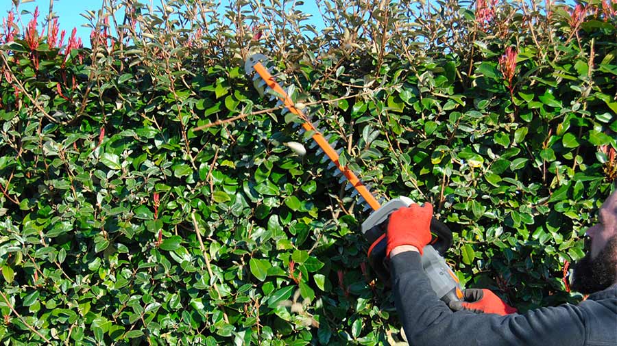 Taille-haies sans sil FX E1HS20 FUXTEC Taille-haies sans sil FX E1HS20 FUXTEC