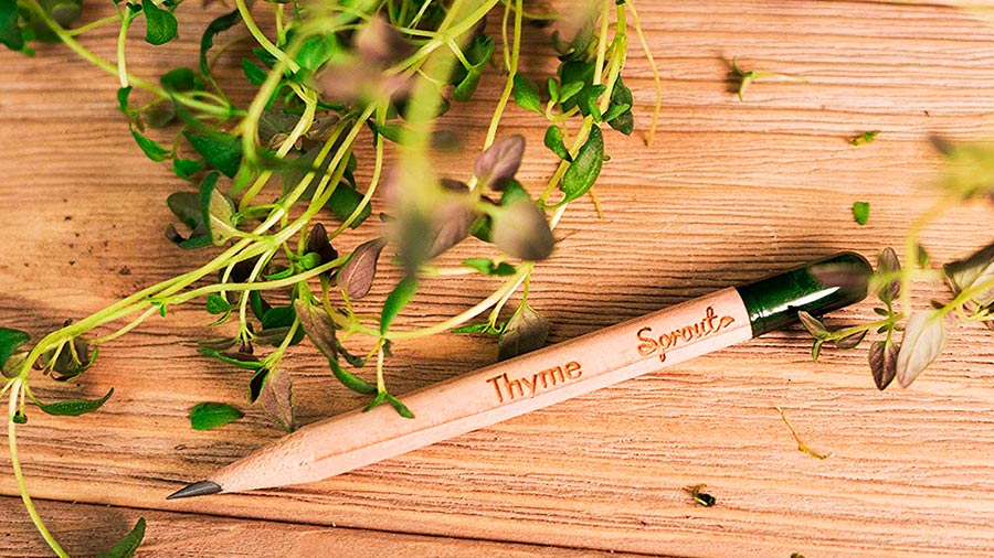 Avis et prix crayons à planter SPROUT WORLD Avis et prix crayons à planter SPROUT WORLD